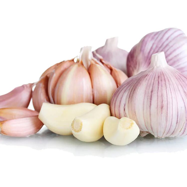 Buy Fresh Garlic 