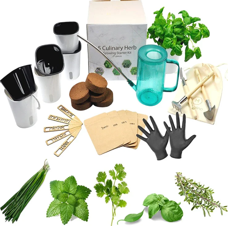 

5 Herb Garden Kit Indoor - Kitchen Windowsill Self Watering Herbs Starter Set Grow Organic Seds, White