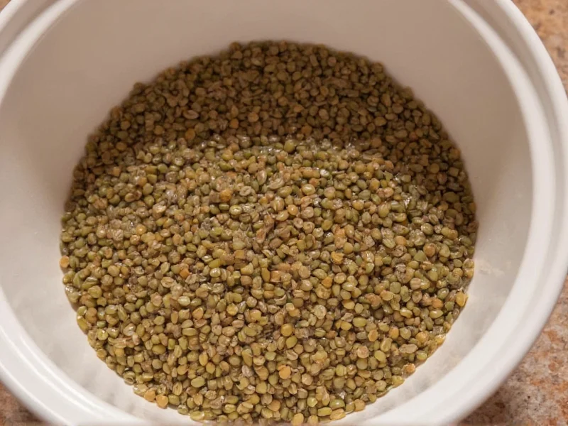 Soaking Lentils: When It's Necessary and How to Do It Right