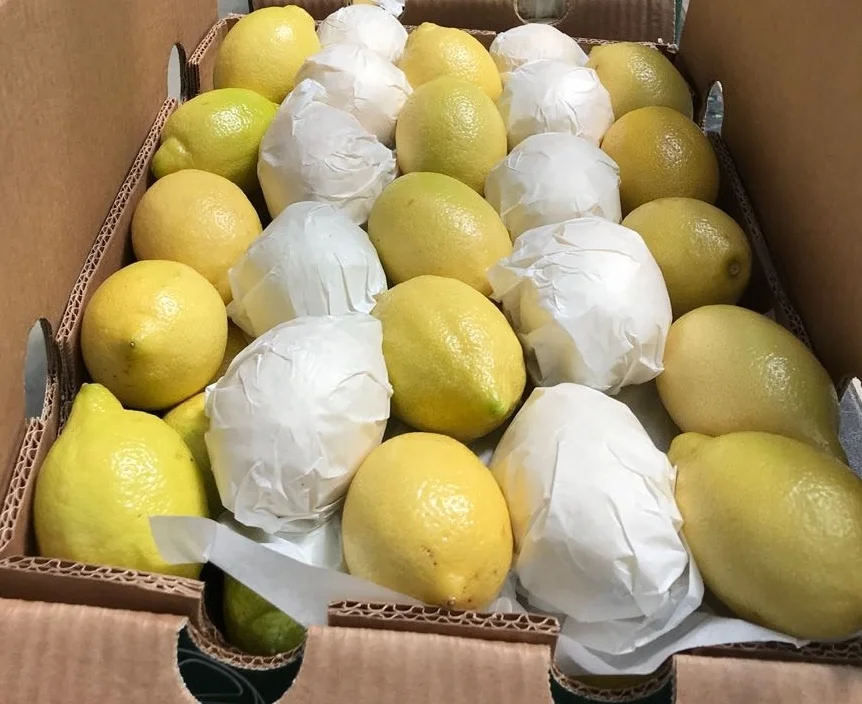 
Wholesale High Quality Fresh Lemon Fresh Citrus Fruit For Sale 