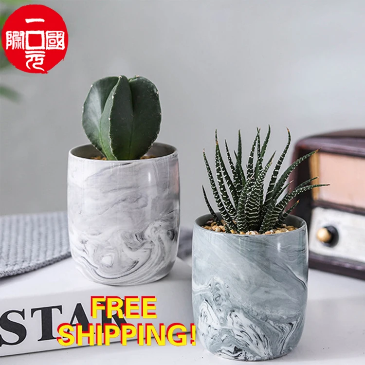 

Factory direct cheap marbled succulent flower pot and planters ceramic