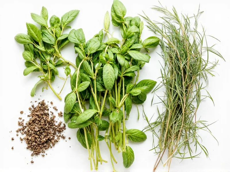 Fresh to Dried Herbs Conversion: Simple 3:1 Ratio Guide