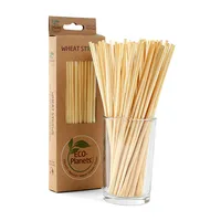

100PCS 100% biodegradable Straws Environmentally Friendly Portable Drinking Straws Bar Kitchen accessories Wheat Straw