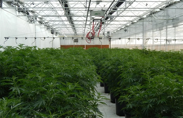 heavy duty greenhouse plant gardening