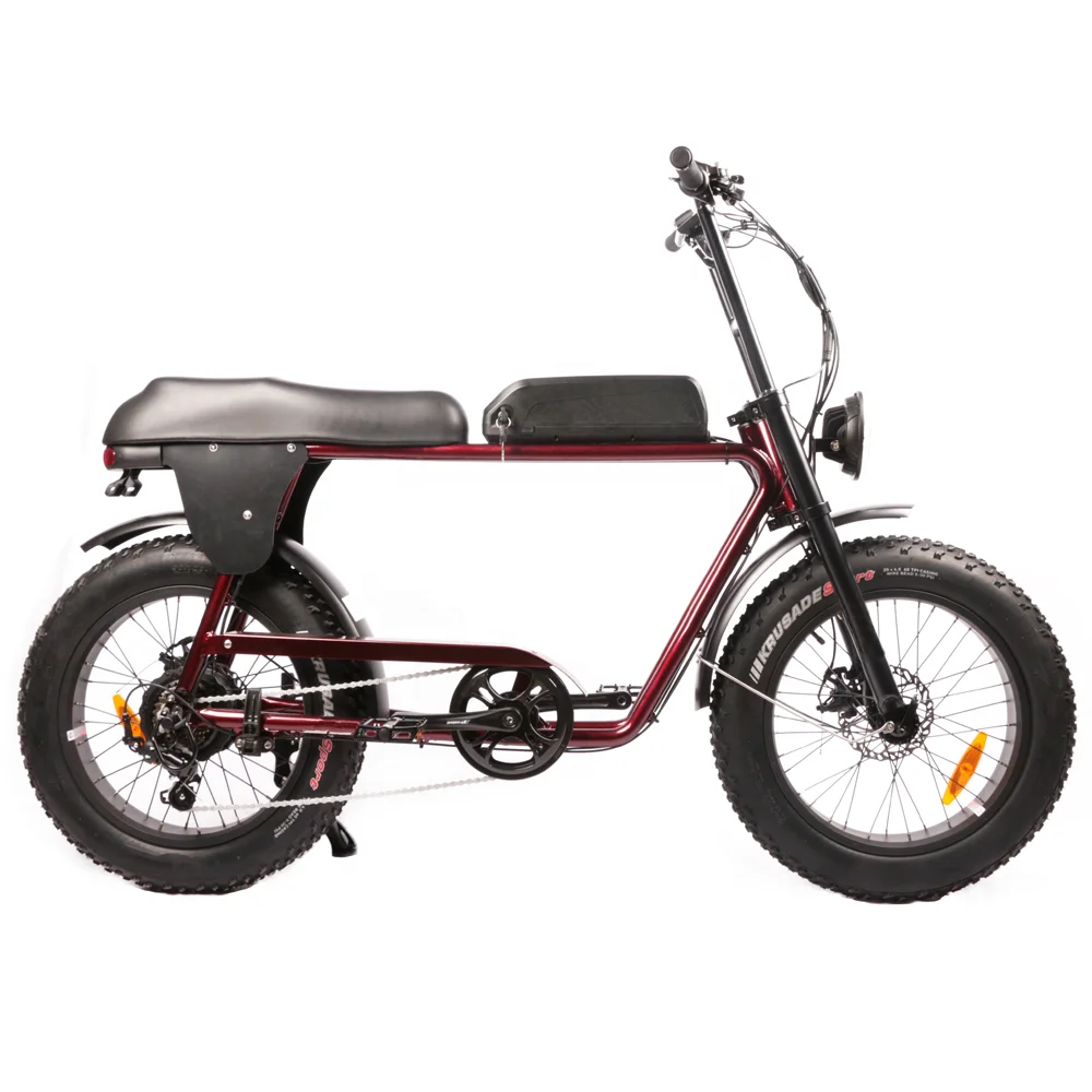 2020 10.4ah lithium battery super powered 48v 500w HP-E 73 two seat ebike / fat tire 2 seater electric bike with foot rest
