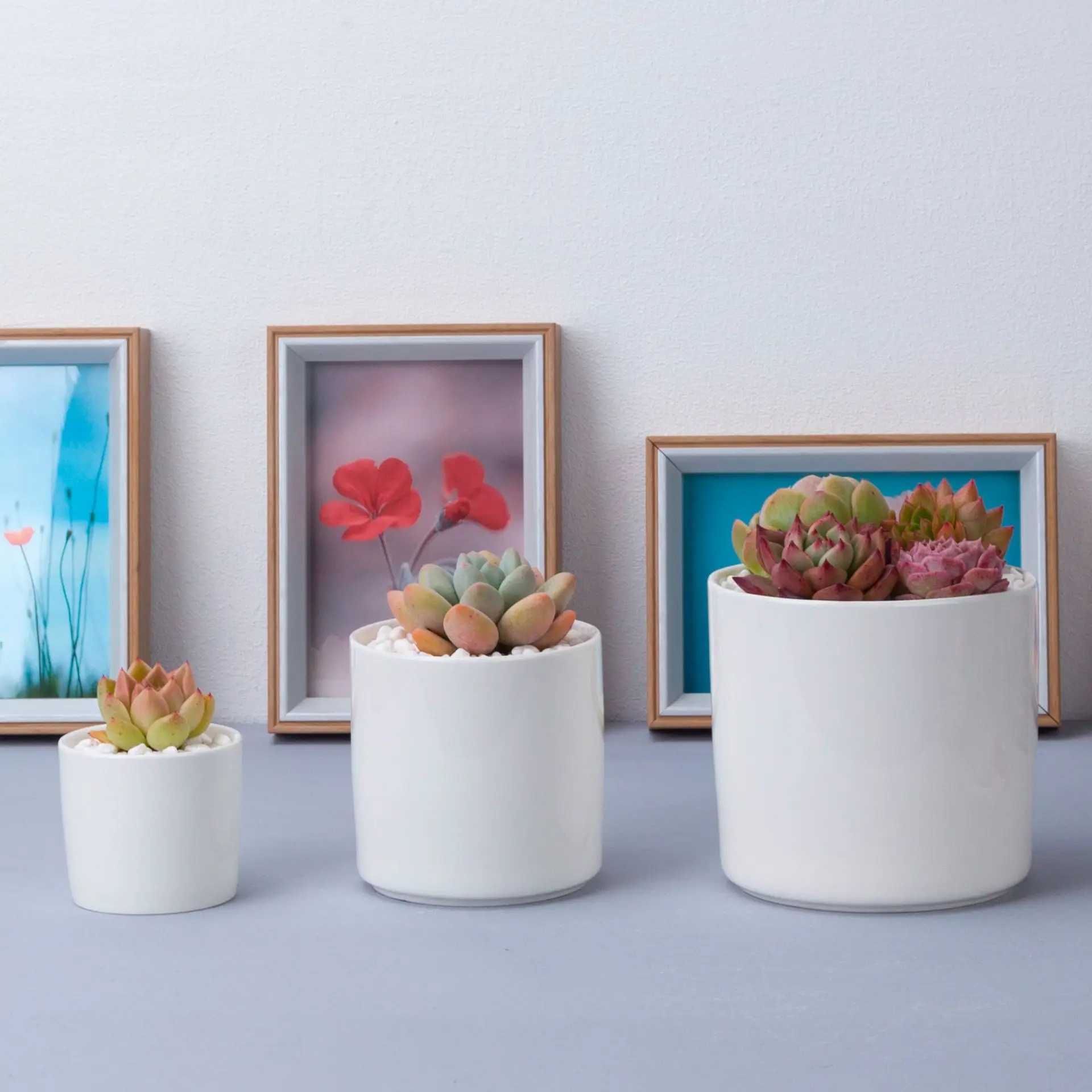 

Gardening Desktop Potted Succulent Green Plants White Straight Ceramic Flower Pot Set Straight Pot Wholesale