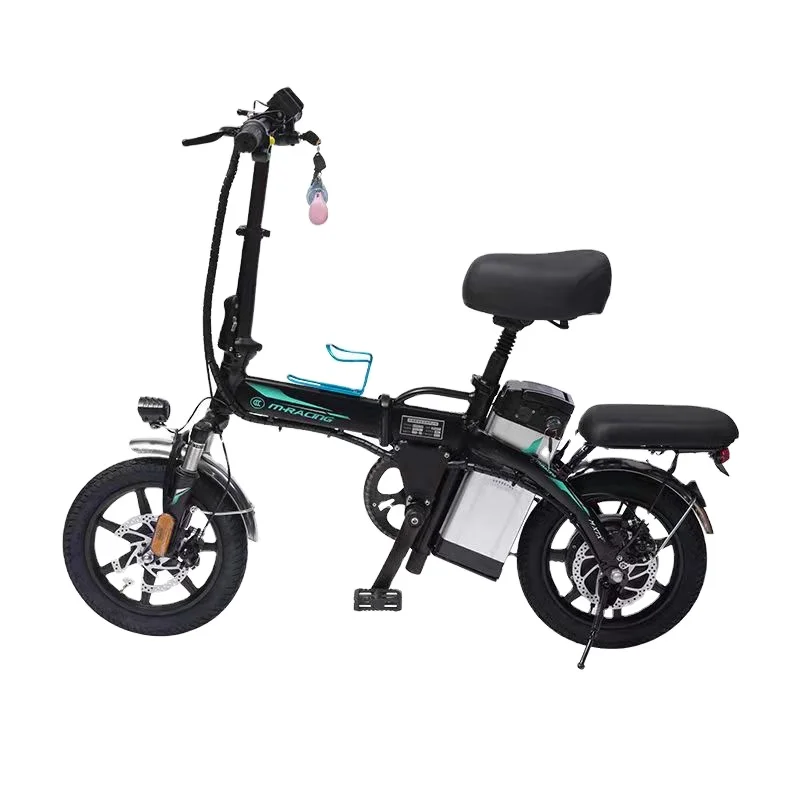 

Dliery Dropshipping 250W 48V10Ah electric bike bicycle 500w city road mountain bike, Customizable