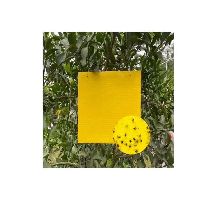 

New Custom-made Yellow Sticky Traps for Flying Plant Insect for Trap Insect