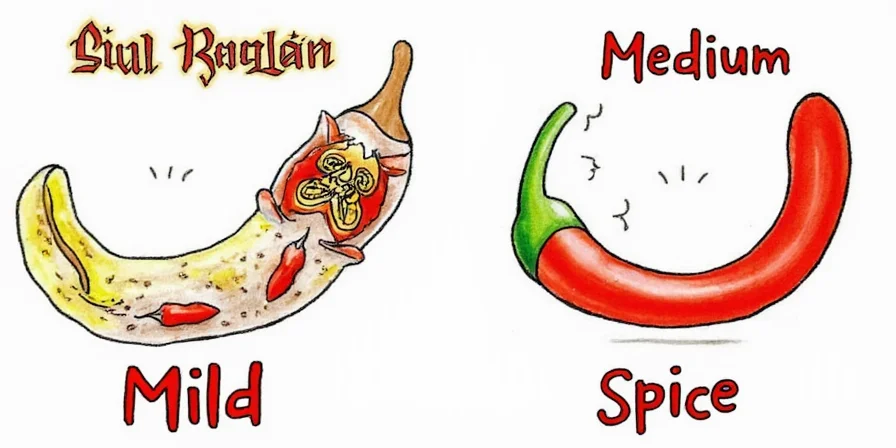 Spice scale chart from mild to hot