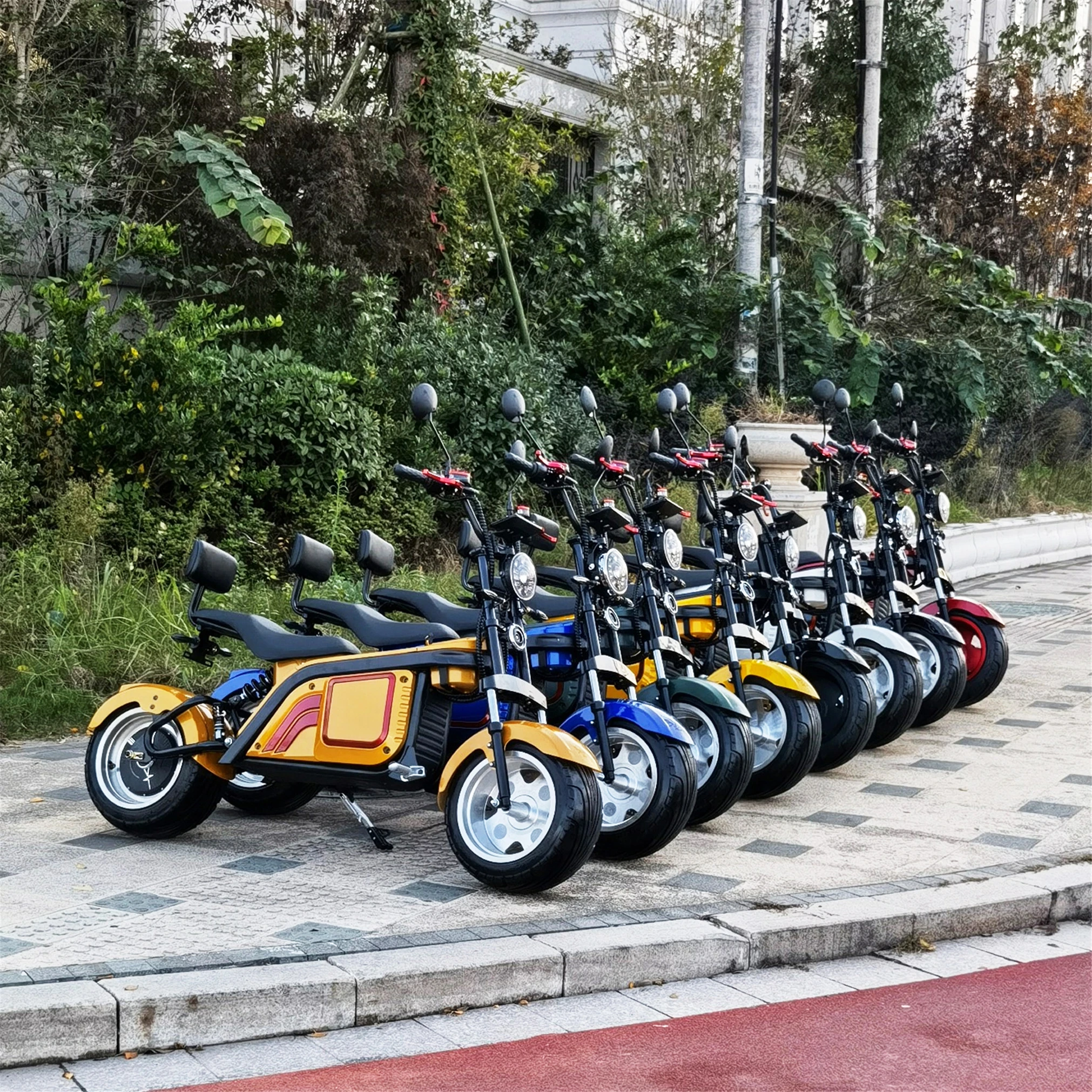 

EU Warehouse EEC/COC Popular Design Durable Performance For Electric Scooter