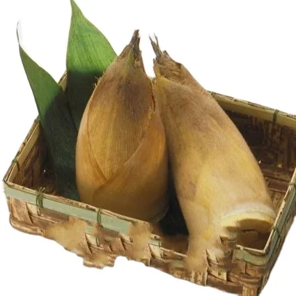 fresh pack canned food canned bamboo shoot slices bamboo stripes