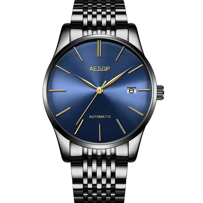 

Aesop 1016G Mechanical Watch Men's Watch