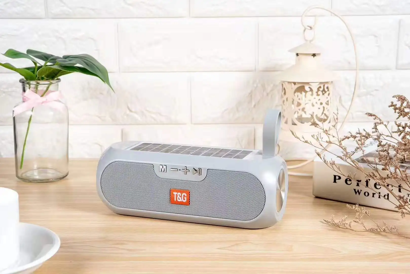 2020 New arrival speaker Solar energy power supply TWS speaker TG182 multi functional wireless TF AUX USB play speaker - ANKUX.COM