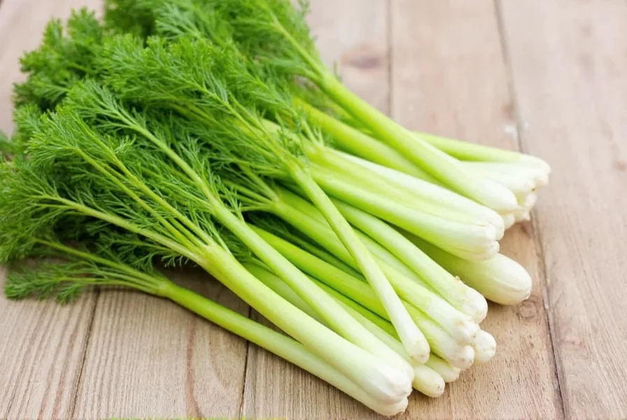 Various culinary preparations of fennel in different dishes