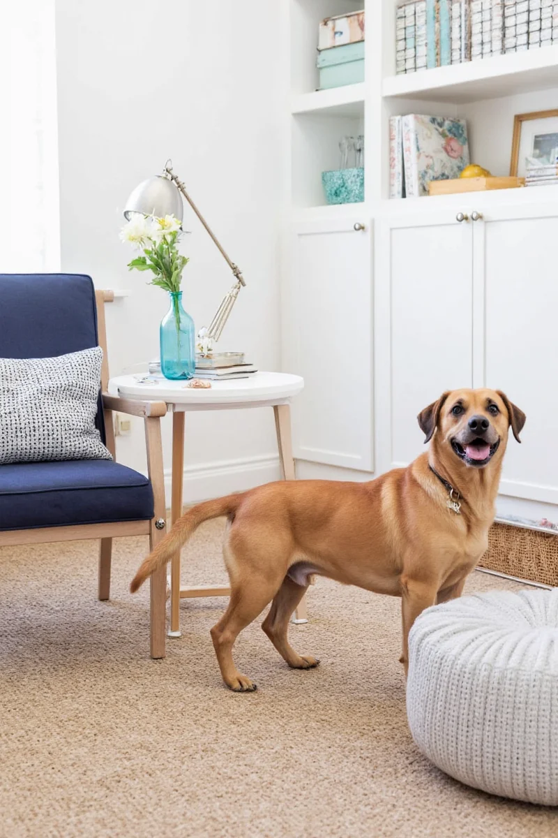 Wooden pet stairs upholstered in grey fabric, matching the color of the adjacent sectional couch.