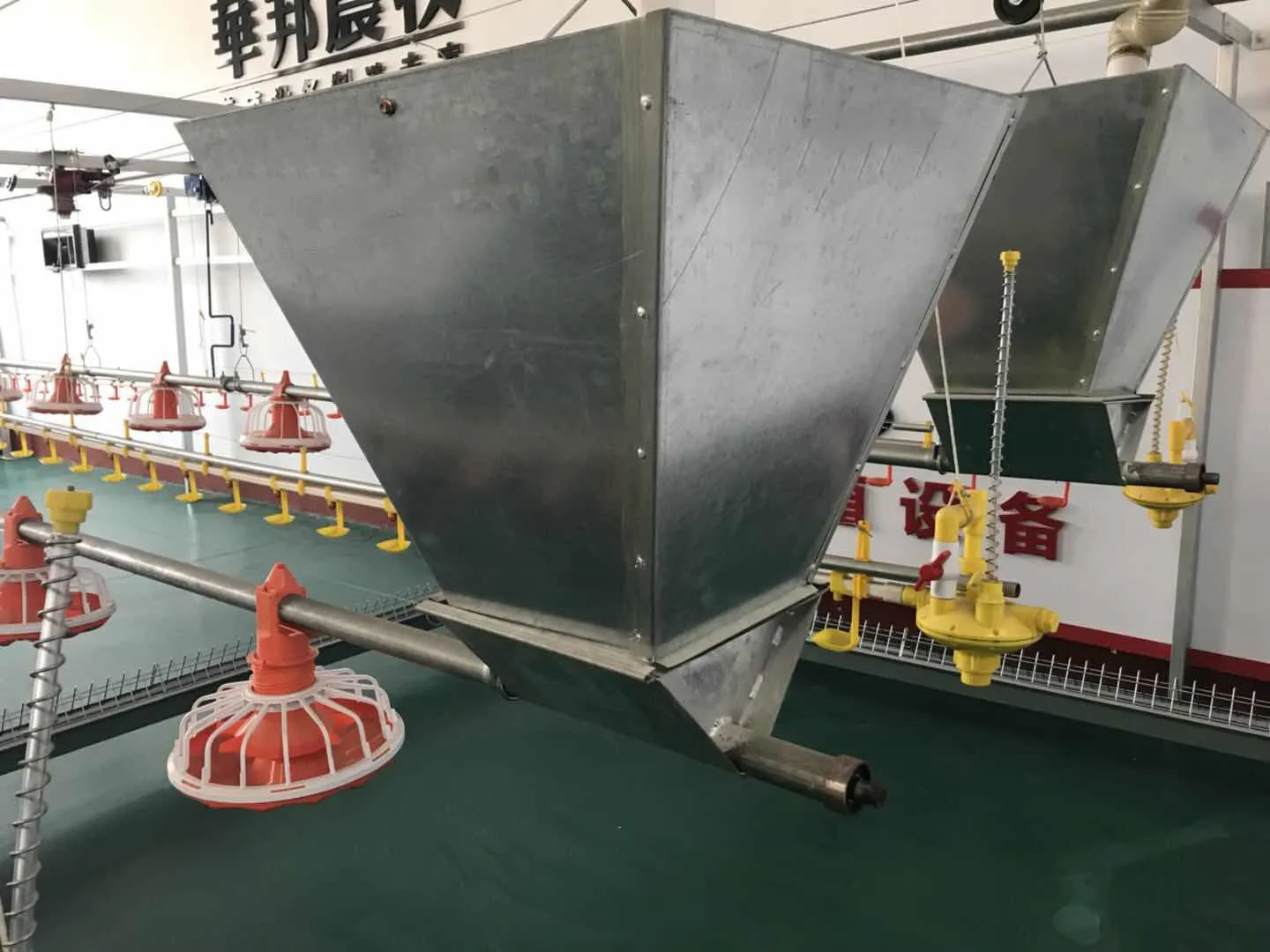 Feeders Broiler Automatic Chicken Auger Feed System For Poultry Farm