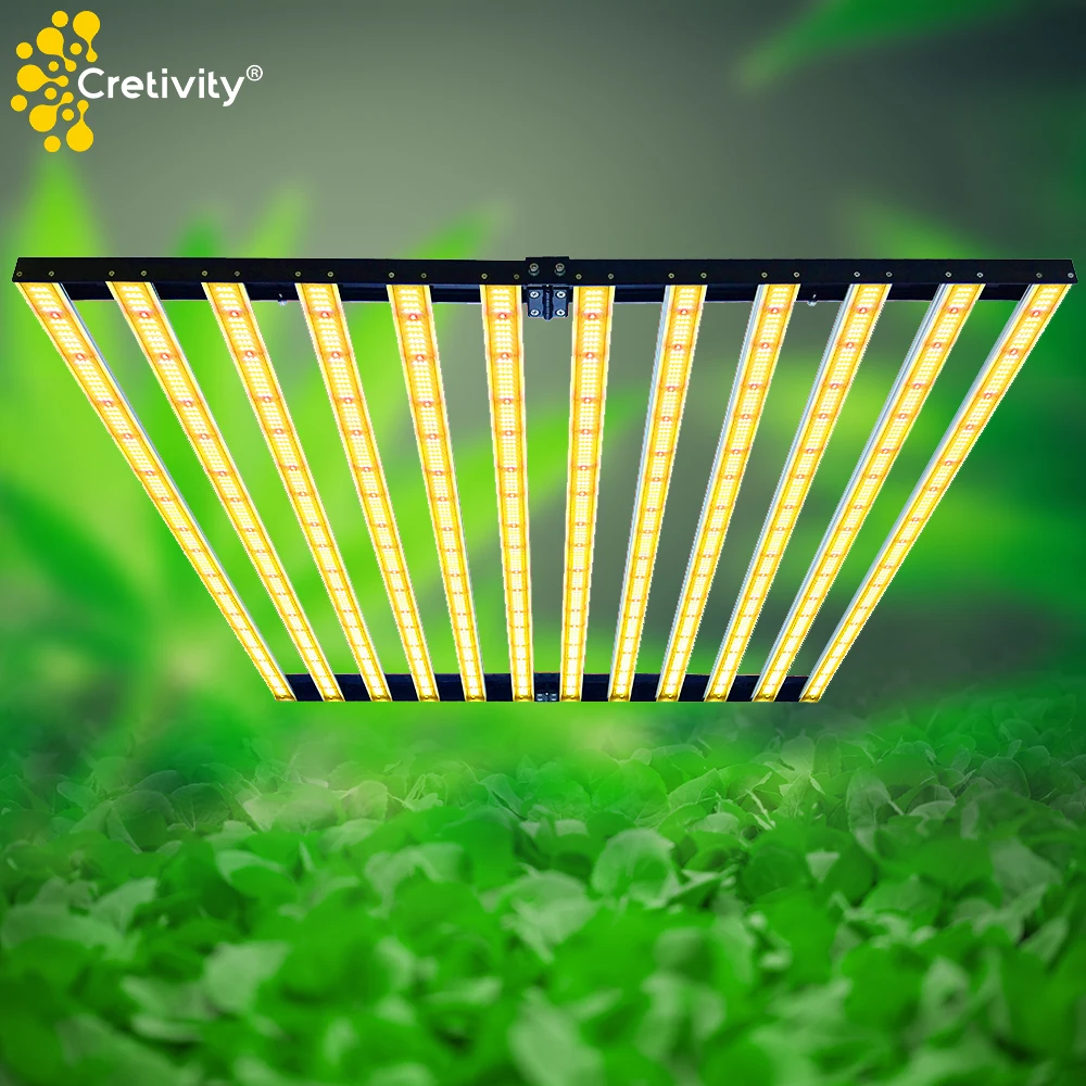 

ETL Lised CRETIVITY Spydr Bar Type Full Spectrum 720W LED Grow Light for Indoor Gardening and Hydroponics