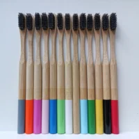 

Nature Bamboo Roundle Handle Charcoal Bristle Soft Toothbrush Custom Logo Tooth Brush