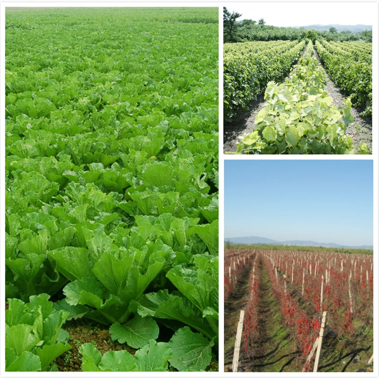 
China Manufacturer Sodium Carboxymethyl Cellulose Price with reasonable price Carboxymethyl cellulose powder 