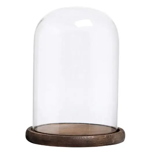 Decorative Clear Glass Cloche Bell Jar With Wood Base Buy