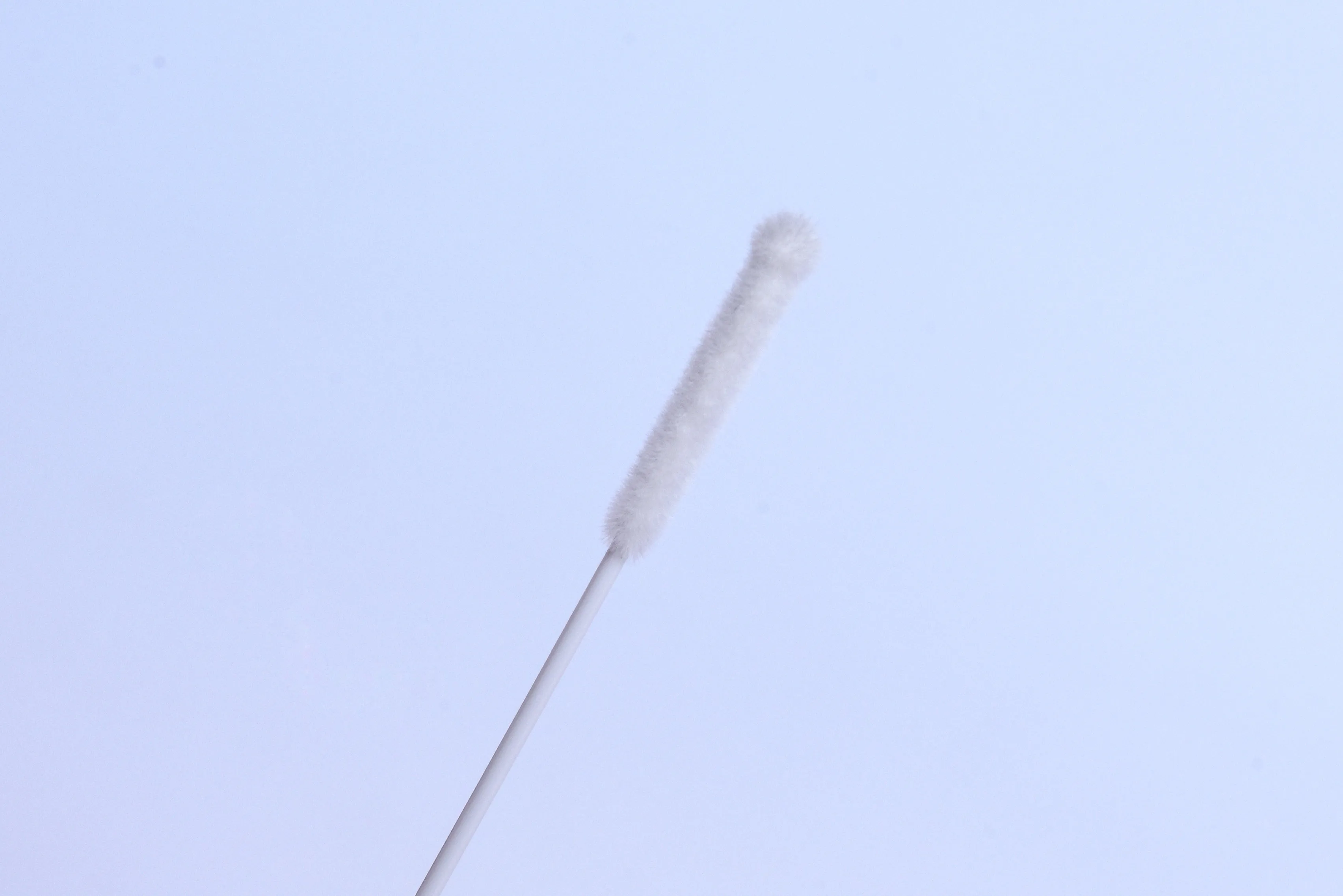 
hot sale throat and nasal swab Virus sampling tube test kit VTM 