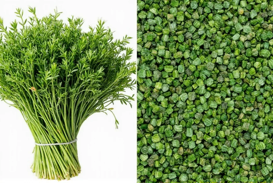 dried chives vs fresh the great herb debate who wins in flavor shelf life more