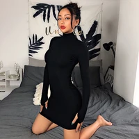 

Casual Style High Neck Solid Mini Long Sleeve Bodycon Turtleneck Dress Women