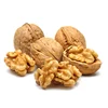 Raw Dried Common Walnuts with Wholesale Price