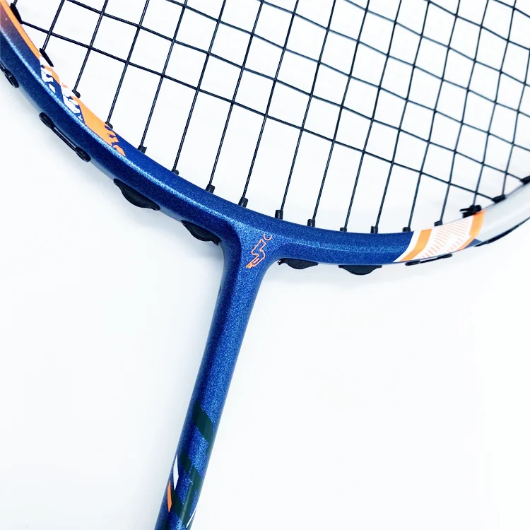 

Hot Selling Light Weight Training Top Speed Carbon Professional Racket Badminton