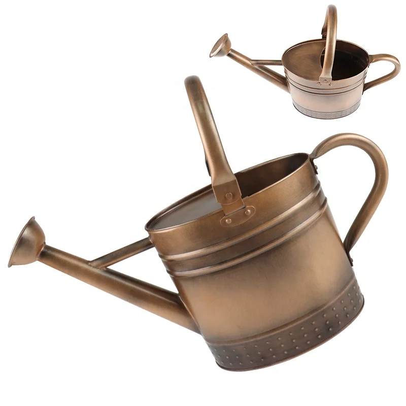 

1 Gallon Garden Water Cans Galvanized Metal Watering Can with Copper Embossed Vintage Design for Indoor and Outdoor Gardening