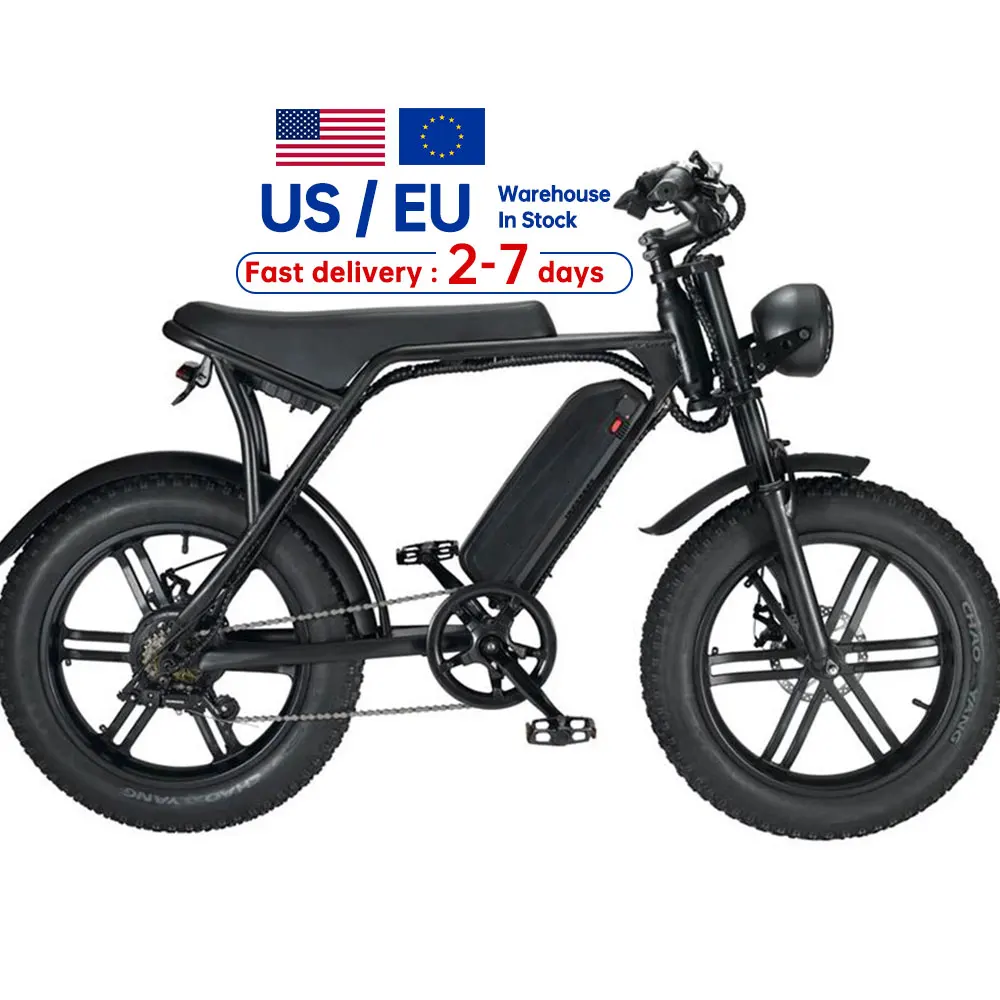 

EU Warehouse Stock Electric Bicycle Hub Motor Long Range 7 speed Electric Bike Aluminum Alloy Frame Fat Tire E-bike