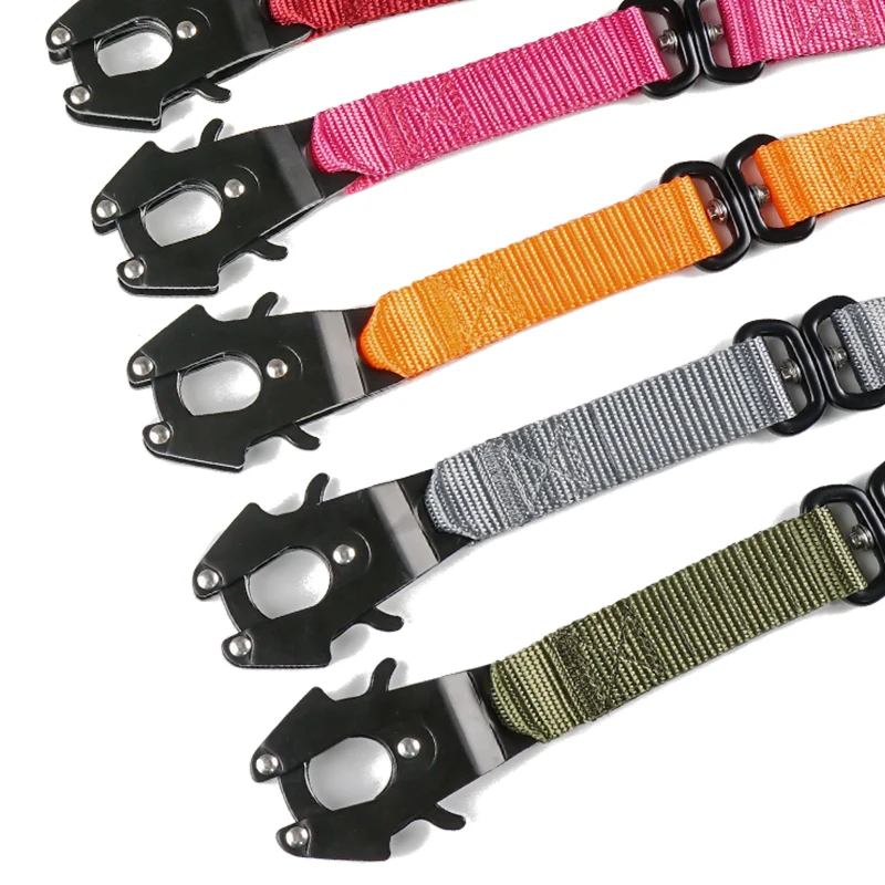 

New Fashion Double Layers Nylon Webbing Frog Buckle Pet Dog Leash With different colors