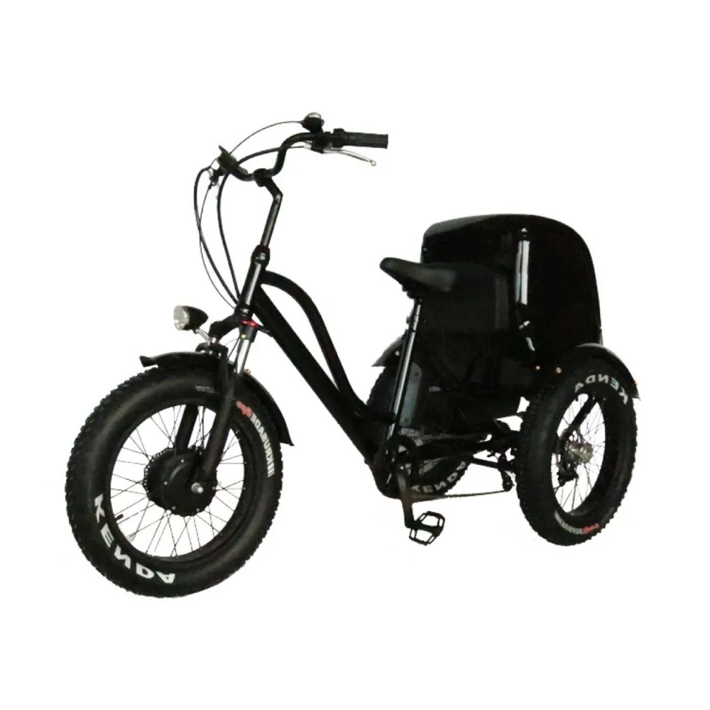 

750W 26 inch delivery express cargo takeaway takeout Handicapped The elderly Assisted travel Electric Tricycle three wheels bike