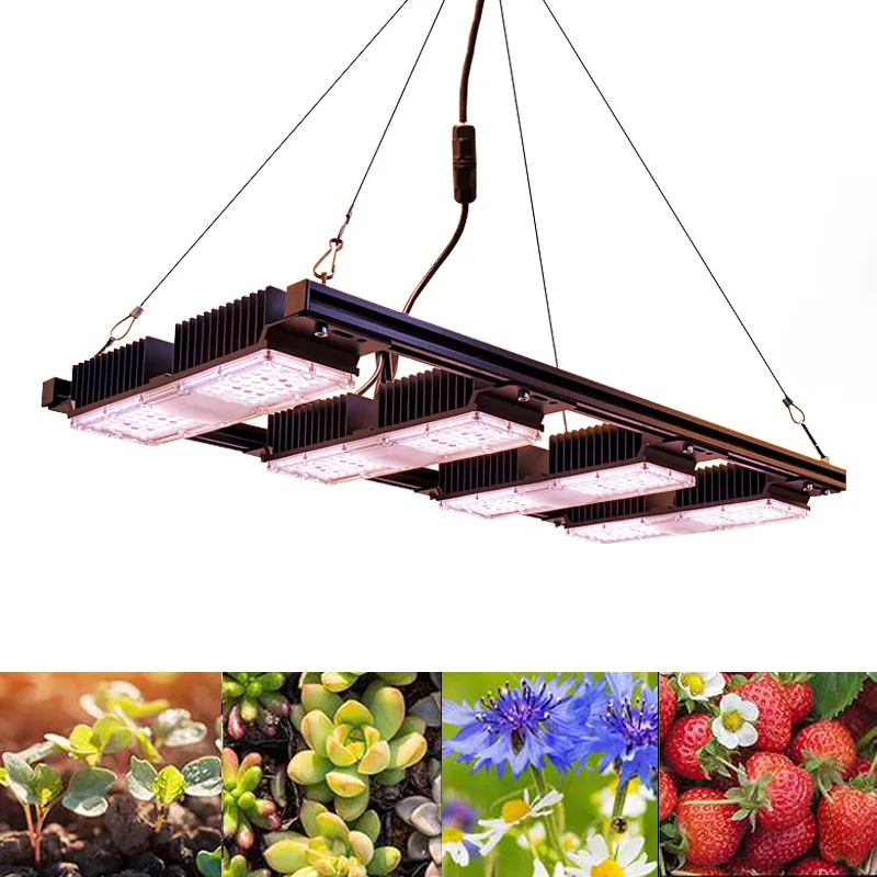150w 200w 1000W CXB3590 3500K COB DIY cob Led hydroponic growing lighting for indoor Plants full spectrum with diy kit