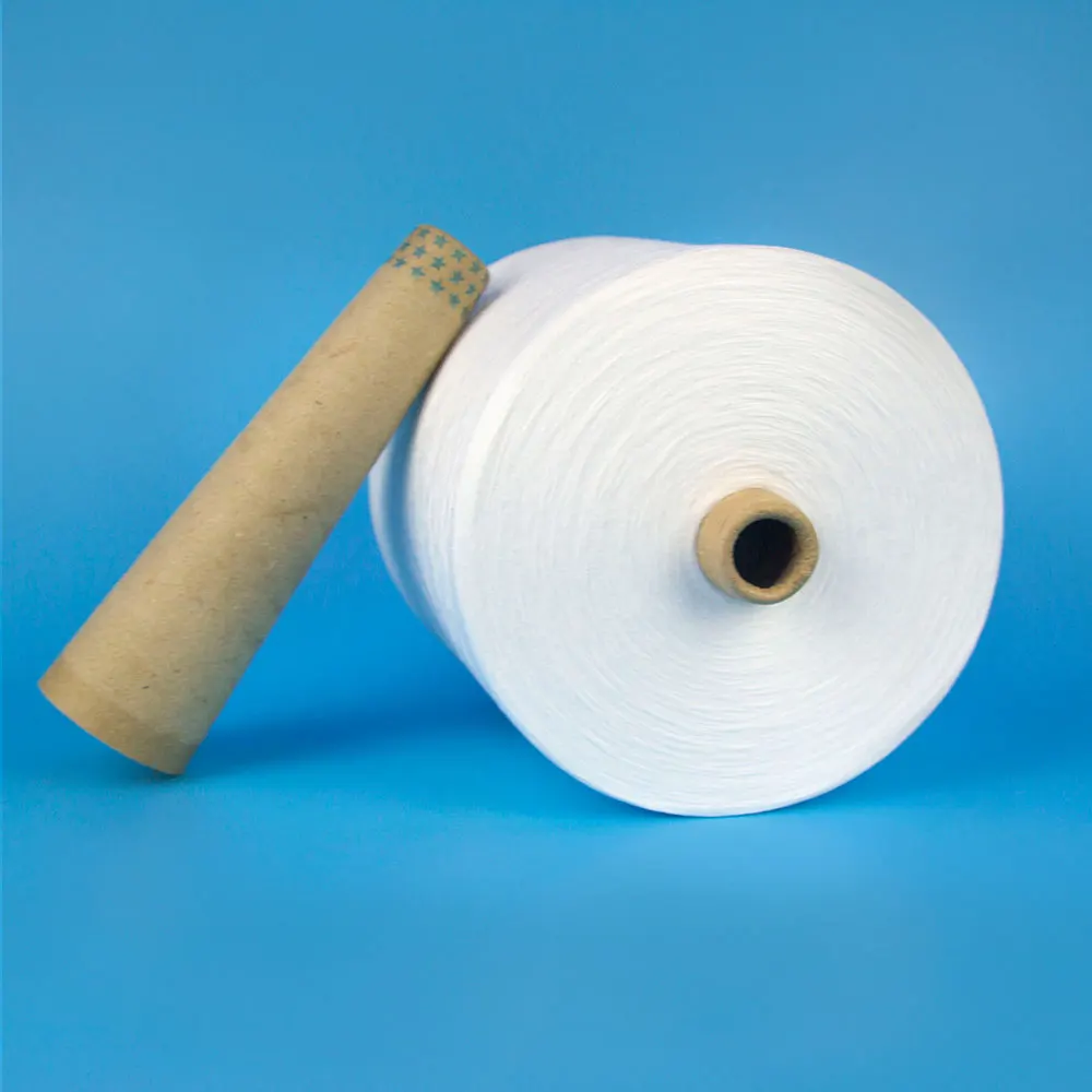 

XINAO X Ne 20/3 100 % polyester material sewing thread, White