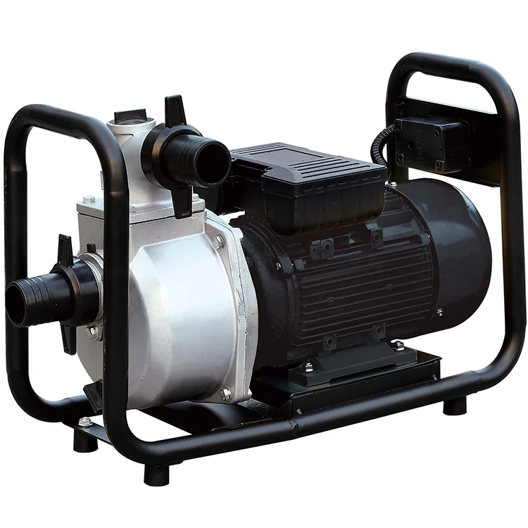 Cheap Hot Sale Ewp20 220v 380v 3hp Hydraulic Small Motor Electric