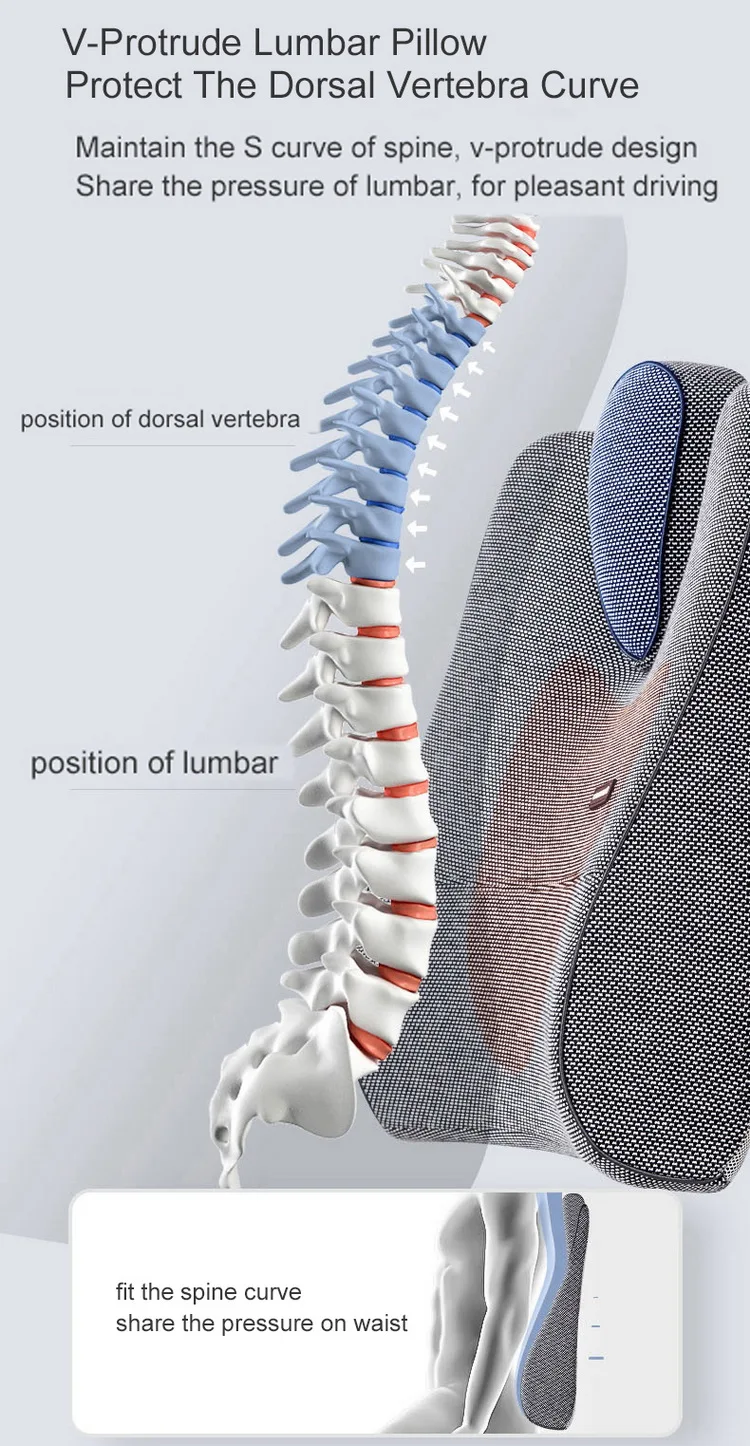 lumbar back support cushion