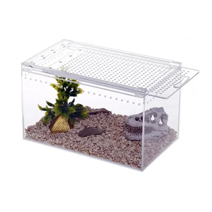 

Wholesale Custom Acrylic Reptile Terrarium Tank Insect Container Magnetic Sliding Lid Acrylic Reptile Terrarium Tank