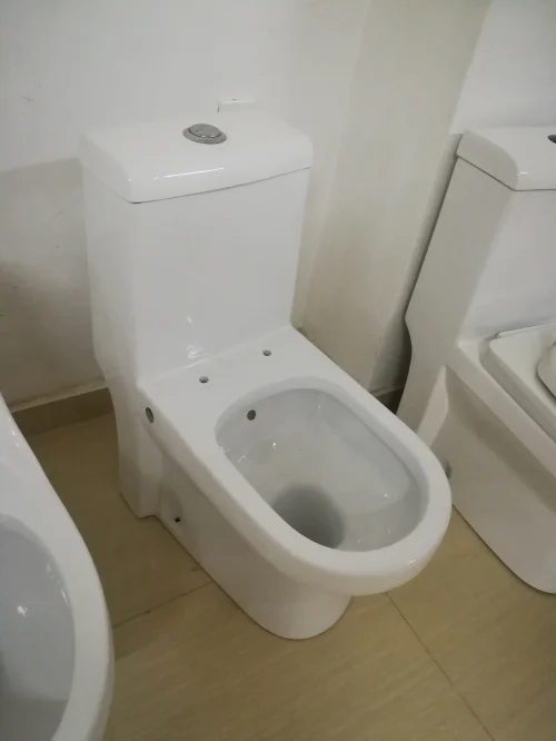 Chinese Toilet Bowl Washdown One Piece Toilet Ceramic Sanitary Ware