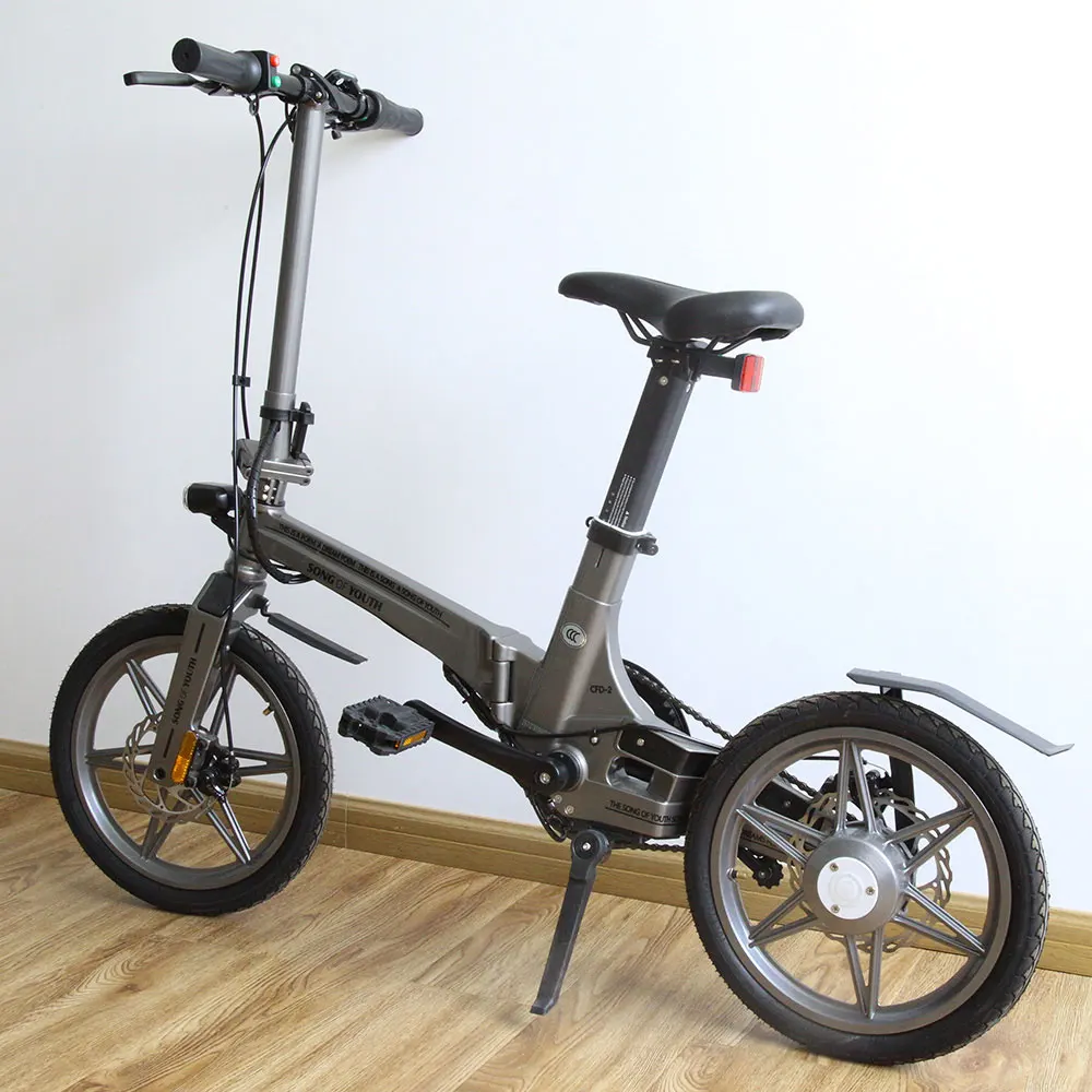 

Hidden Battery Fat Tire Electric Bike 250W Folding Ebike 16 Inch