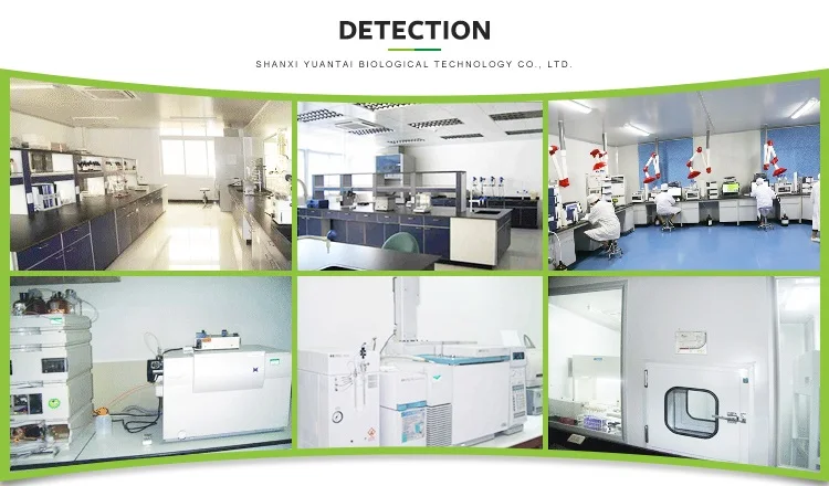 
High Purity 99% Clobetasol propionate 25122-41-2 Clobetasol in stock 