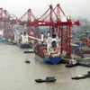 Discount Cheaper Shipment Agents From China To FLUSHING