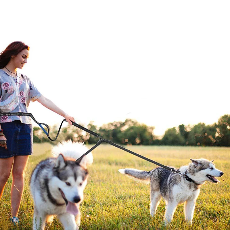 

Hands Free Adjustable Double Leash, Pet Dog Collar Leash for Running Walking Hiking