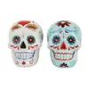 ceramic Day of the Dead White and Blue Sugar Skull Design Salt and Pepper Shakers Set