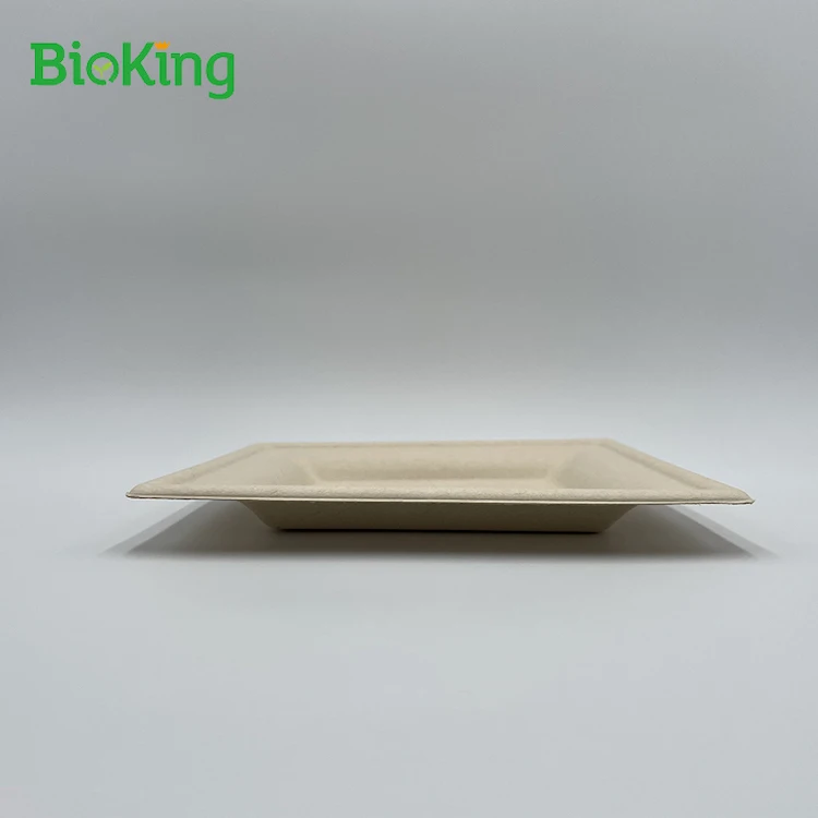 

BioKing Best selling 7" Bagasse Compostable Biodegradable Round 6 paper 3 pin in insulation 1 sushi plates and dishes, Bleached;unbleached