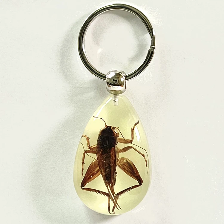 

Factory hot sale insect amber keychain acrylic insect keychain real cricket in resin Tourist Souvenirs