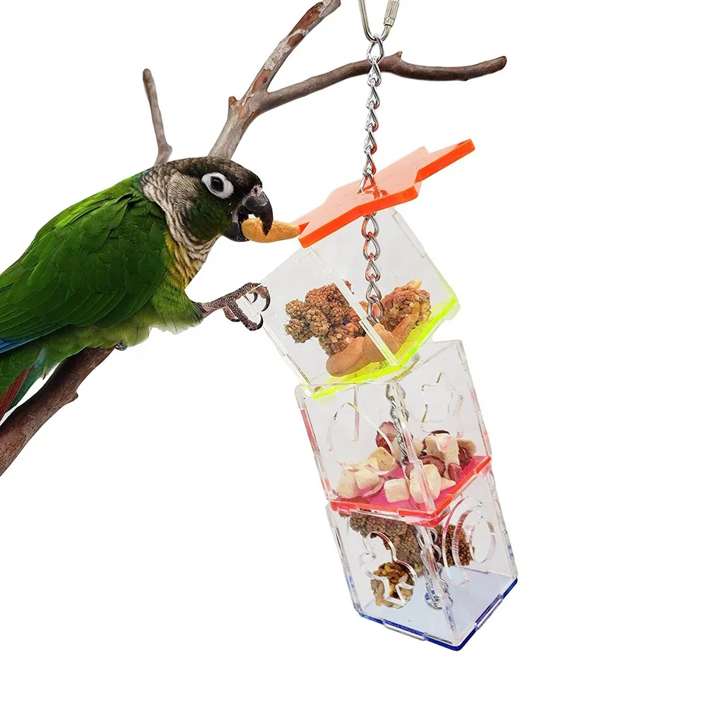 

Chickens Parrot Bird Boredom Buster Forage Box Creative Hanging Treat Foraging Toy Small and Medium Bird Enrichment Transparent, Acrylic