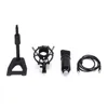 High Quality Low Price recording microphone studio condenser mic bm800 with usb