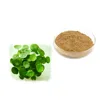 /product-detail/best-selling-organic-10-1-centella-asiatica-extract-gotu-kola-extract-60814263522.html