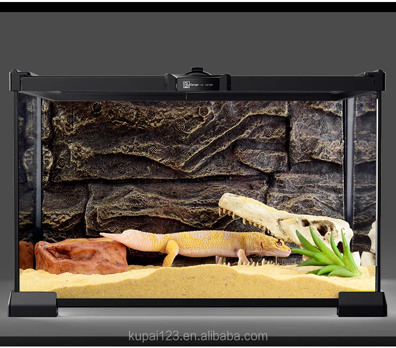 Reptile Glass Terrarium Cage For Frog Gecko Metal Net Of Rain Forest Climbing Pet Cagefor Frog